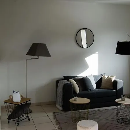 Cosy. Centre. Proche Aeroport Et Parc Exposition Apartmán