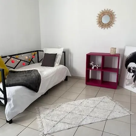 Cosy. Centre. Proche Aeroport Et Parc Exposition Apartmán *