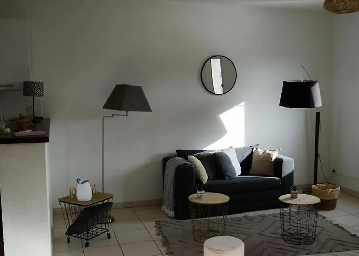 Cosy. Centre. Proche Aéroport Et Parc Exposition Appartamento